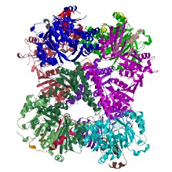 Image of CATH 3ab4