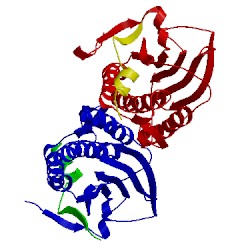 Image of CATH 3abd
