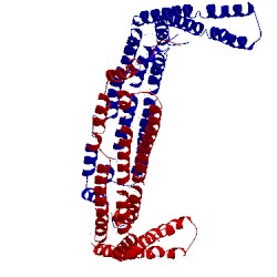 Image of CATH 3abh