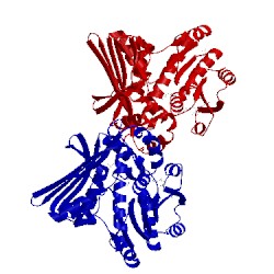 Image of CATH 3abi