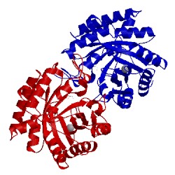 Image of CATH 3afb