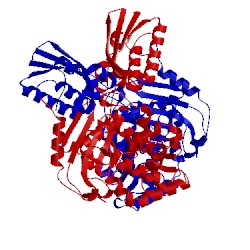 Image of CATH 3agd
