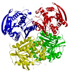 Image of CATH 3aik