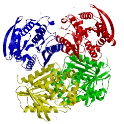 Image of CATH 3aim