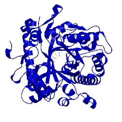 Image of CATH 3ais