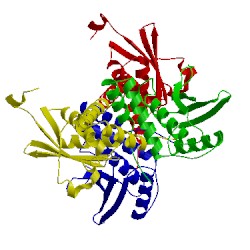 Image of CATH 3aj2