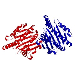 Image of CATH 3ajg