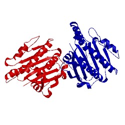 Image of CATH 3ajh