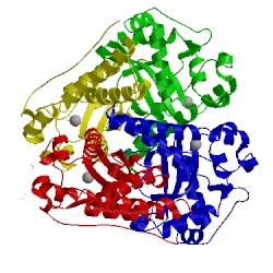 Image of CATH 3ak3