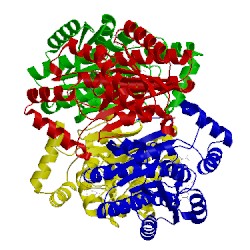 Image of CATH 3ak4