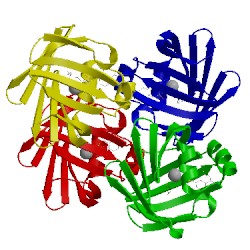 Image of CATH 3akm