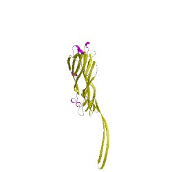 Image of CATH 3anzO00