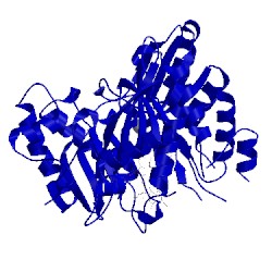 Image of CATH 3aop