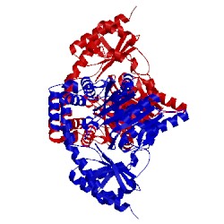 Image of CATH 3aov