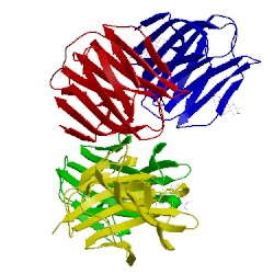 Image of CATH 3ap4