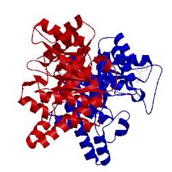 Image of CATH 3apt