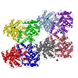Image of CATH 3apy