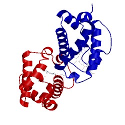 Image of CATH 3aq5