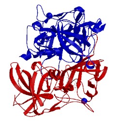 Image of CATH 3asp