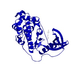 Image of CATH 3at3