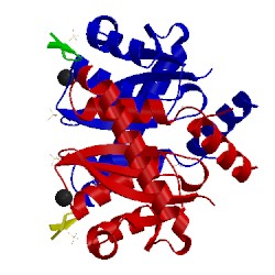 Image of CATH 3avh