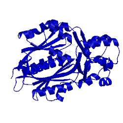 Image of CATH 3awk