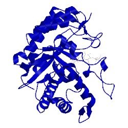 Image of CATH 3ays