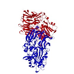 Image of CATH 3azo