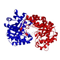 Image of CATH 3azs