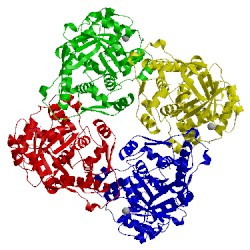 Image of CATH 3b03