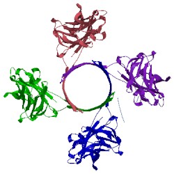 Image of CATH 3b07
