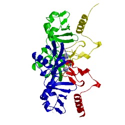 Image of CATH 3b0a