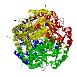 Image of CATH 3b1d