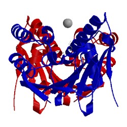 Image of CATH 3b24