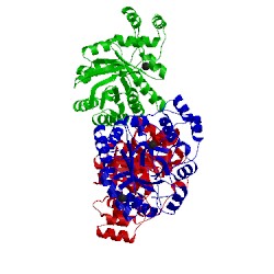 Image of CATH 3b3d