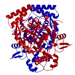 Image of CATH 3b3o