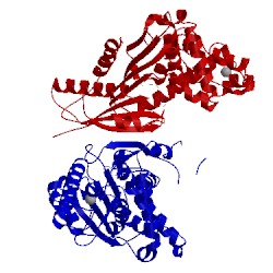 Image of CATH 3b5i