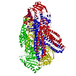 Image of CATH 3b5y