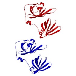 Image of CATH 3b6y