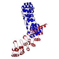 Image of CATH 3b7b