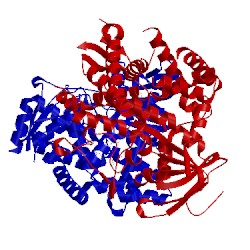 Image of CATH 3b98