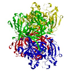 Image of CATH 3b9t