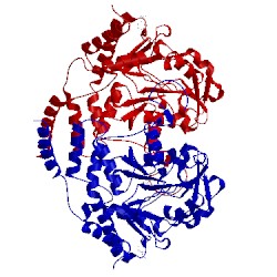 Image of CATH 3bb8