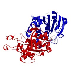 Image of CATH 3bbd