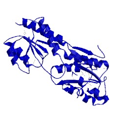 Image of CATH 3bbl