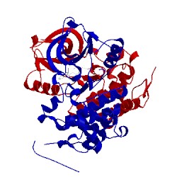 Image of CATH 3bbt