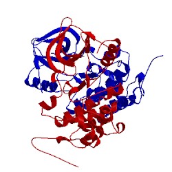 Image of CATH 3bbw