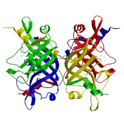 Image of CATH 3bcp