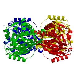 Image of CATH 3bd0