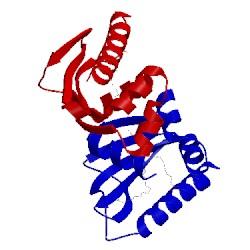 Image of CATH 3bdq